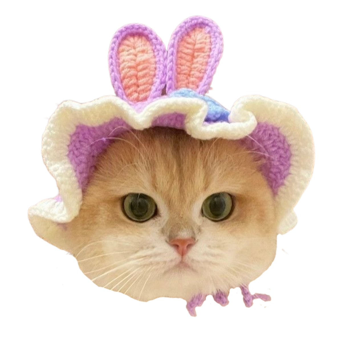 Bunny Hat