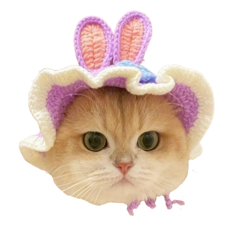 Bunny Hat