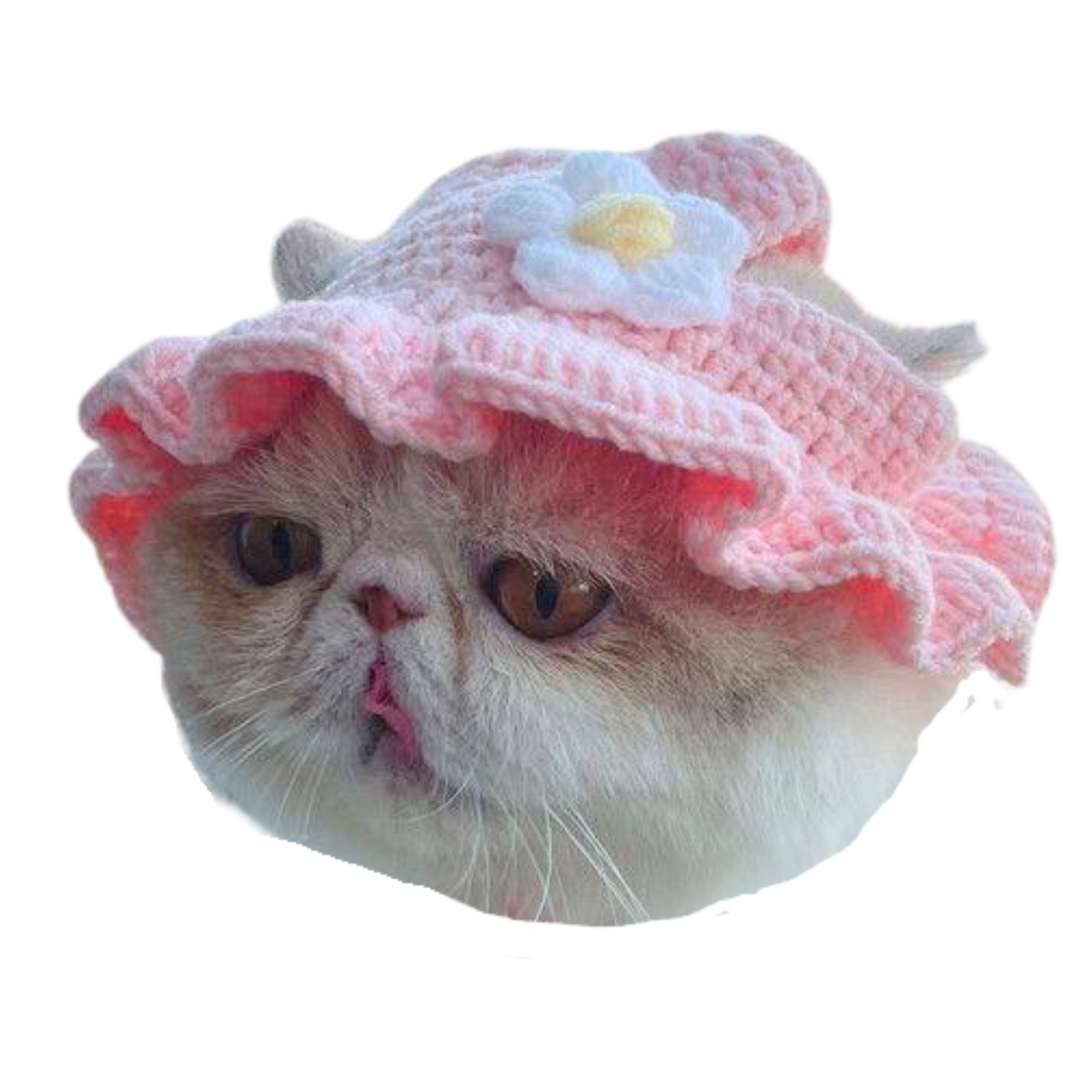 Flower Hat