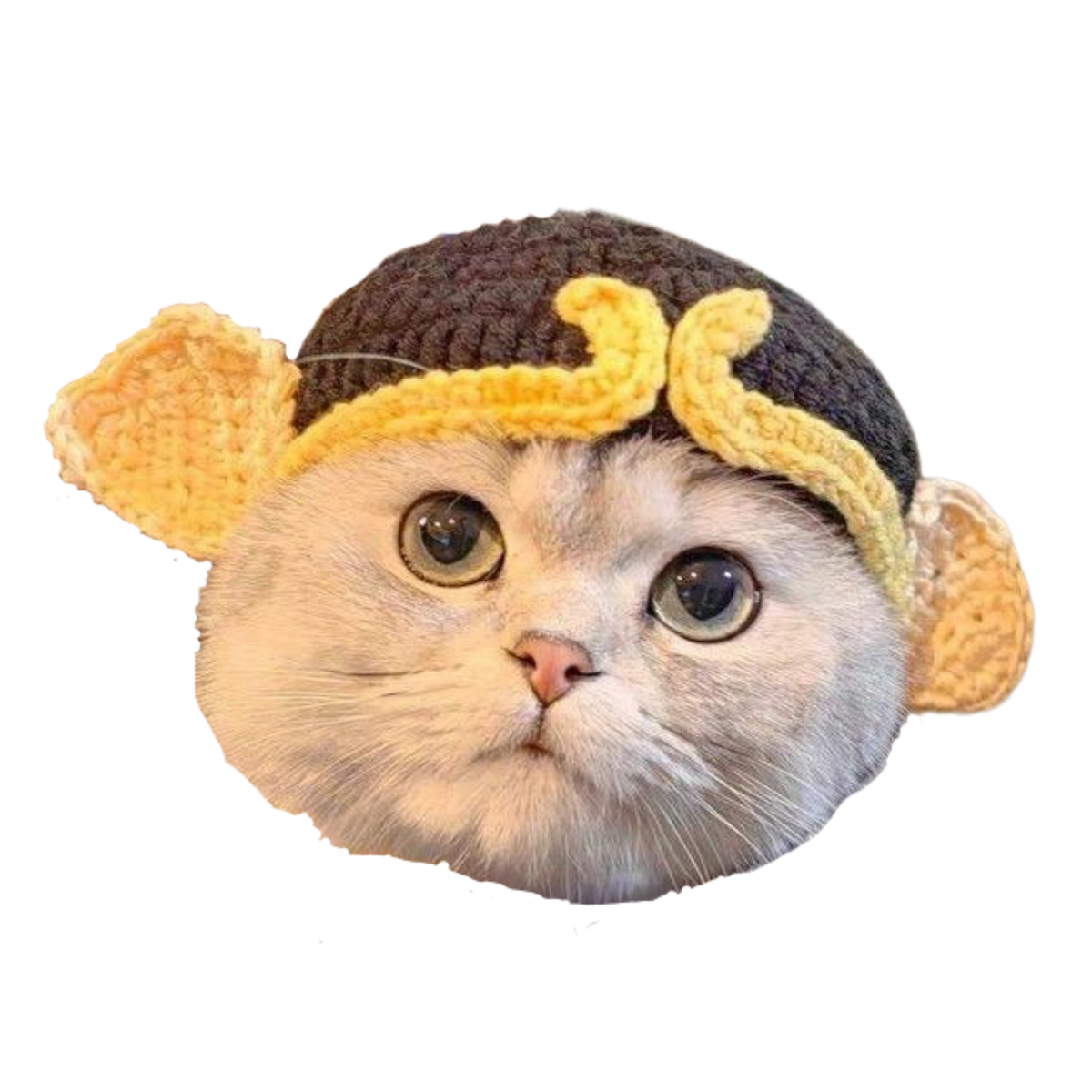 King Hat