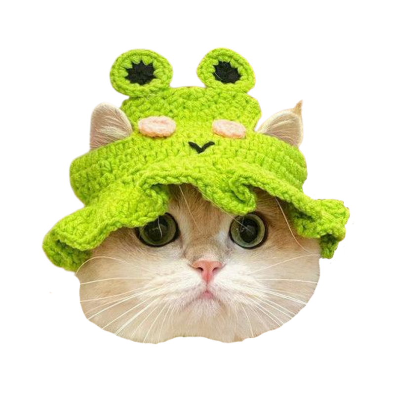 Frog Hat