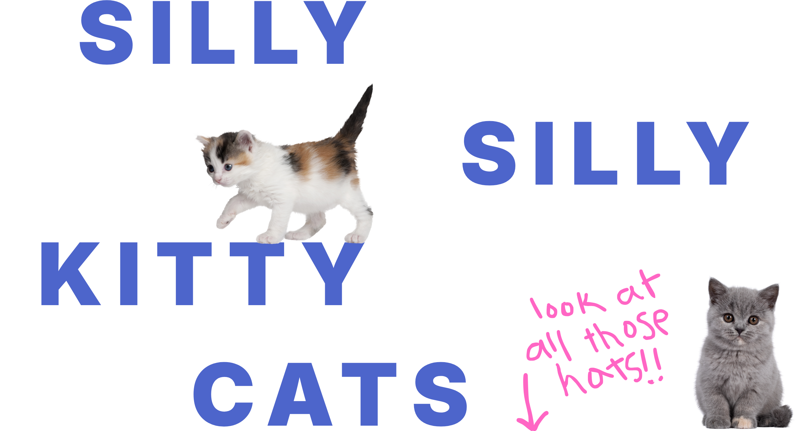 Silly Silly Kitty Cats. Look at all those hats!